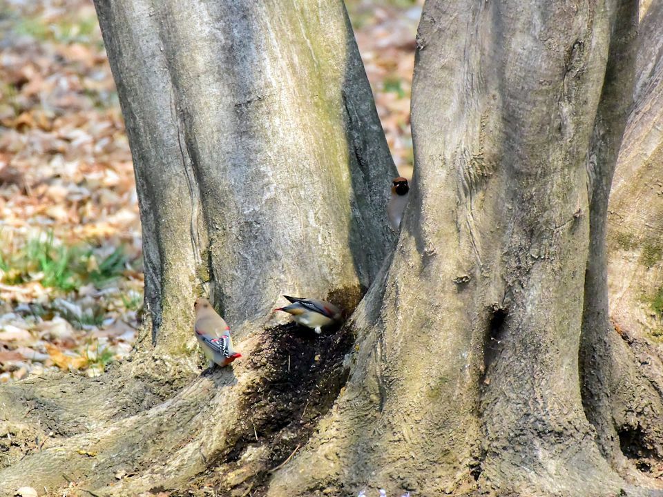 a0031821_18321580.jpg