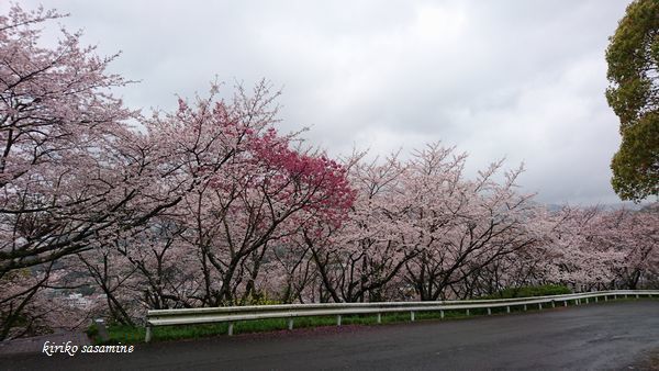 c0330122_22452794.jpg