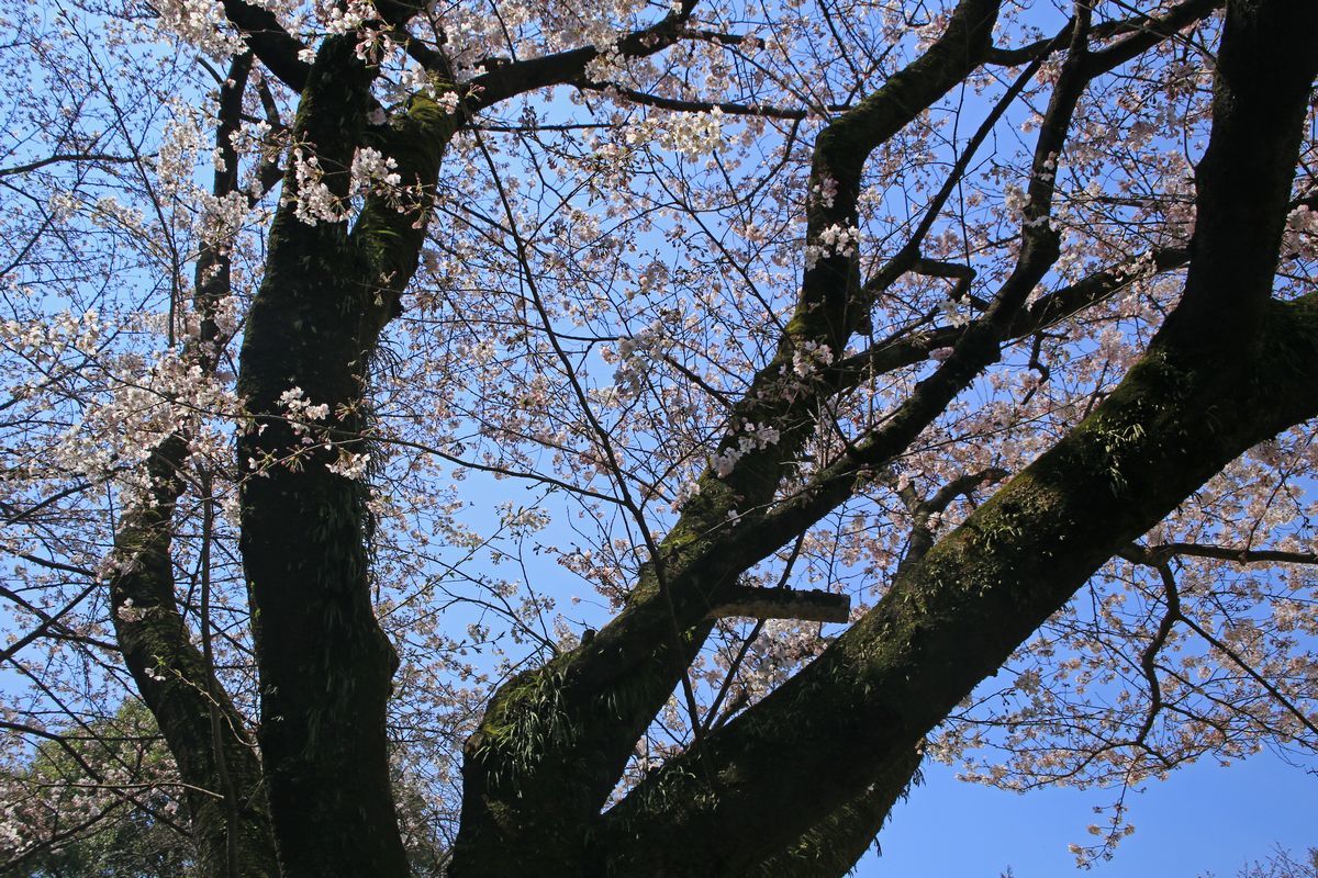 c0104227_20370022.jpg