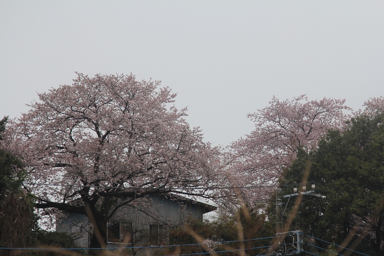 f0225627_20141516.jpg
