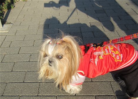 c0045628_18215492.jpg