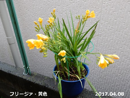 e0033229_18101811.jpg