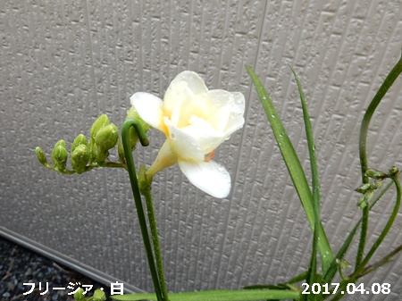 e0033229_1813478.jpg