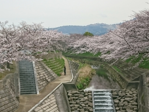 b0162732_01130151.jpg