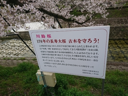 b0162732_01130727.jpg