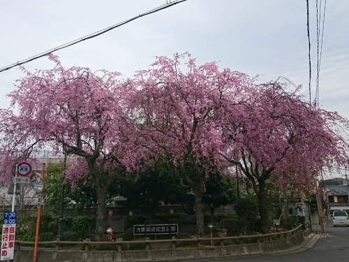 b0162732_01130979.jpg