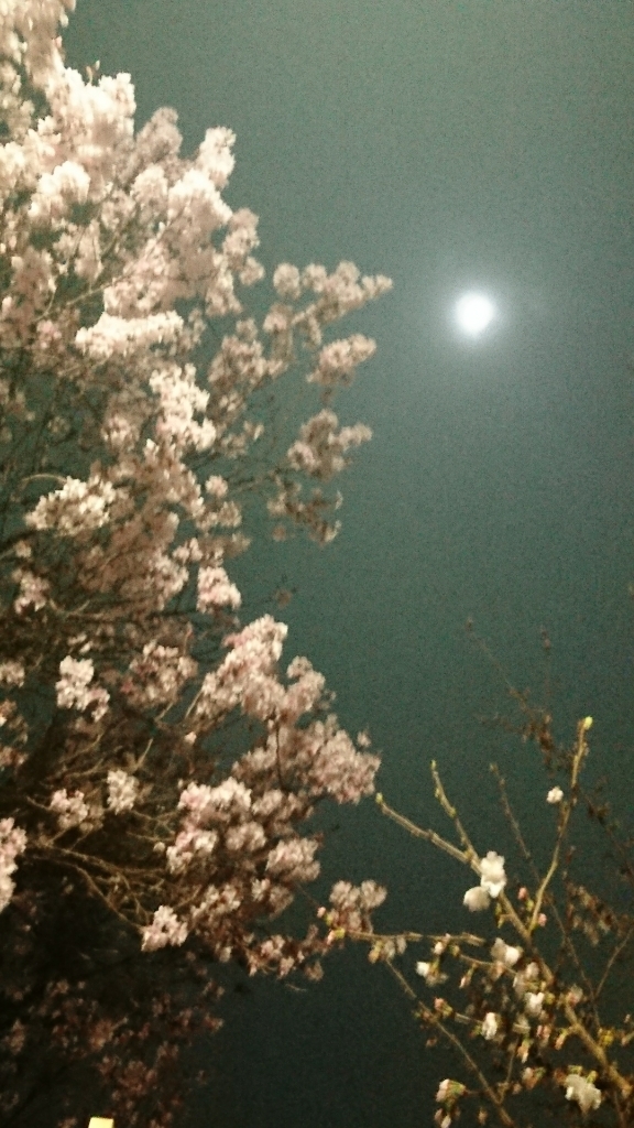 b0162732_01131261.jpg