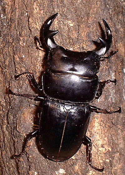 e0097534_17221740.jpg