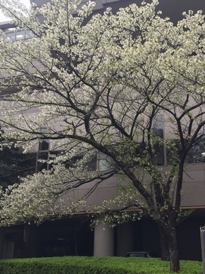 f0034334_18440454.jpg