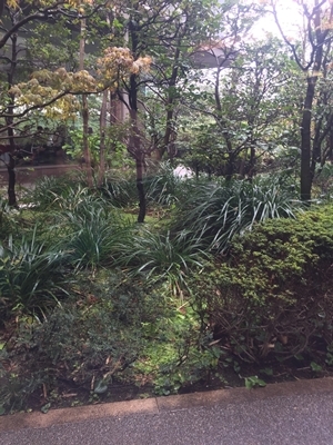f0034334_18490704.jpg