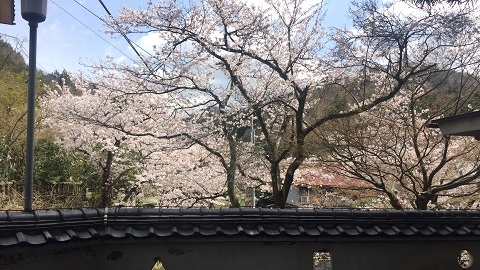f0112434_13521583.jpg