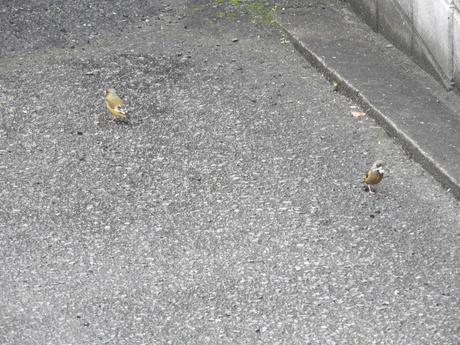 f0113136_8201587.jpg