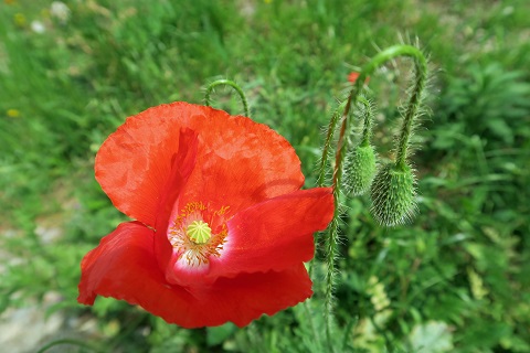 f0234936_7122637.jpg