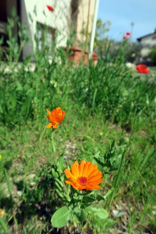 f0234936_7215917.jpg