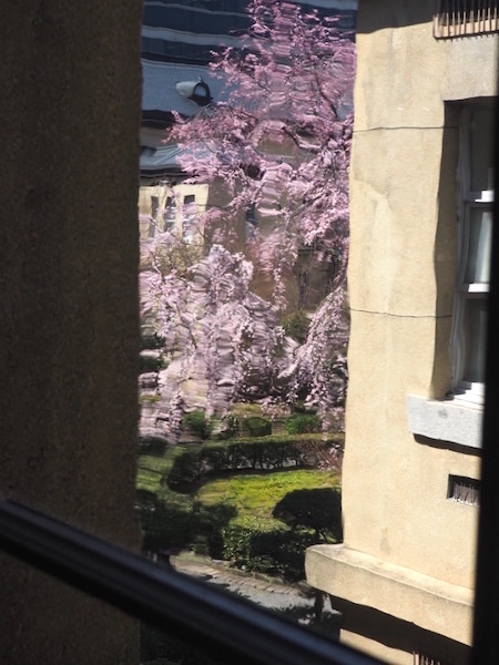 d0027244_00301113.jpeg