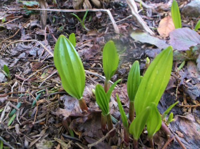 c0006745_06412924.jpg