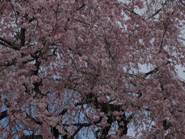 e0011145_18252989.jpg