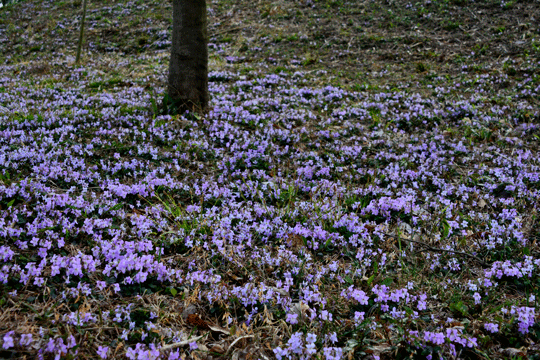 c0093046_1905350.gif