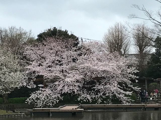 c0343447_08062548.jpg