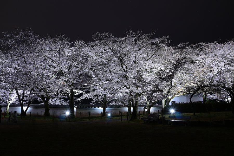 f0254247_09501827.jpg