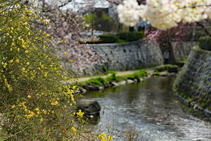 a0120949_94659.jpg