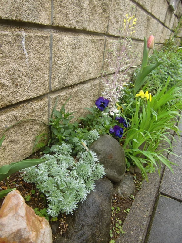 f0329849_21203195.jpg