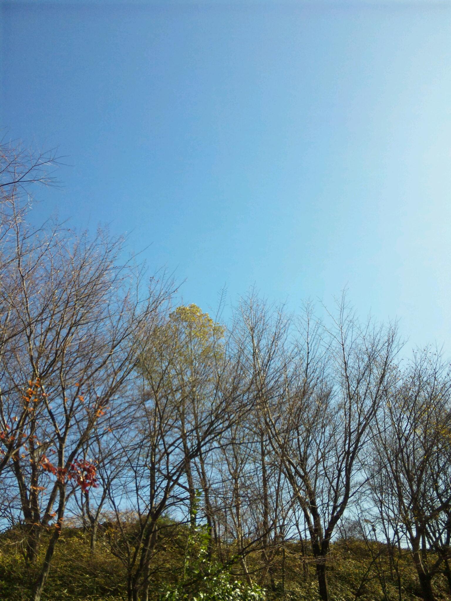 f0061050_0193491.jpg