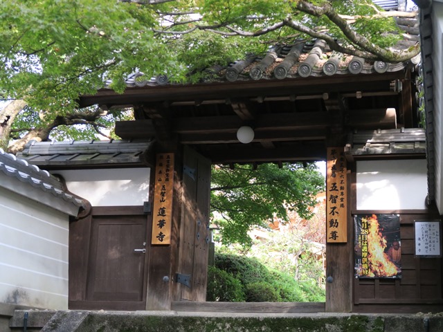 e0017051_20444036.jpg