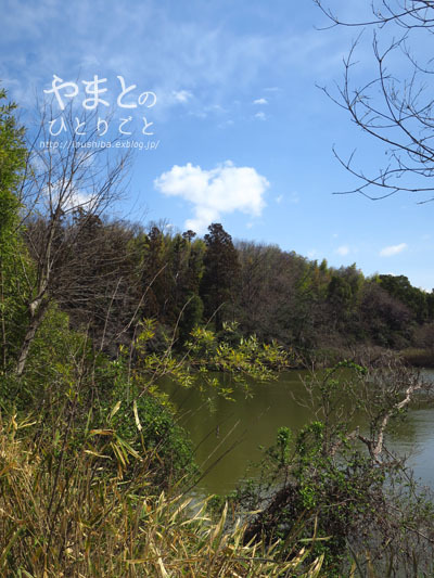 a0286855_07423428.jpg