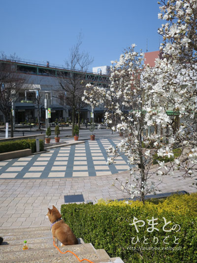 a0286855_07424904.jpg