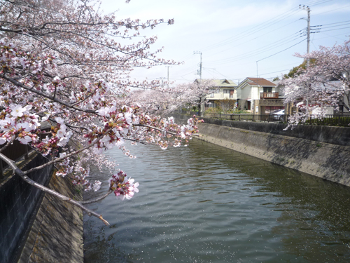 b0045357_1025750.jpg
