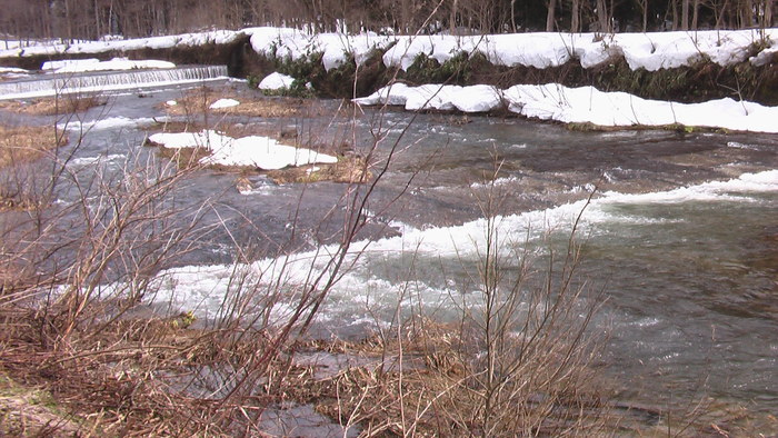 b0208961_12313048.jpg