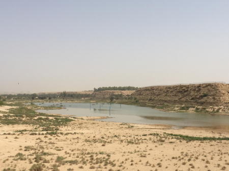 e0107561_20203910.jpg