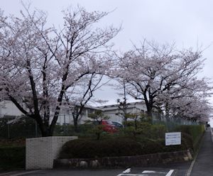 d0357065_23390875.jpg
