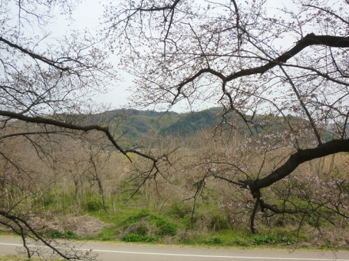 e0254365_14003861.jpg
