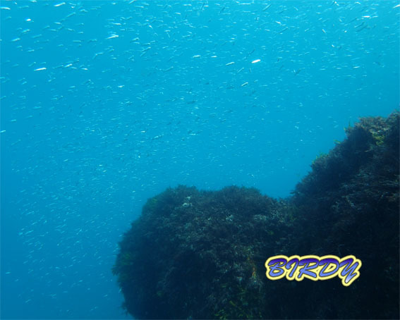 e0273365_08203531.jpg