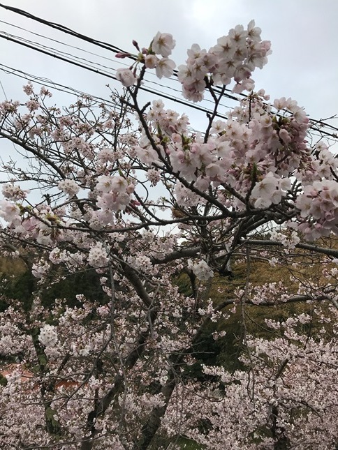 f0009169_08180652.jpg