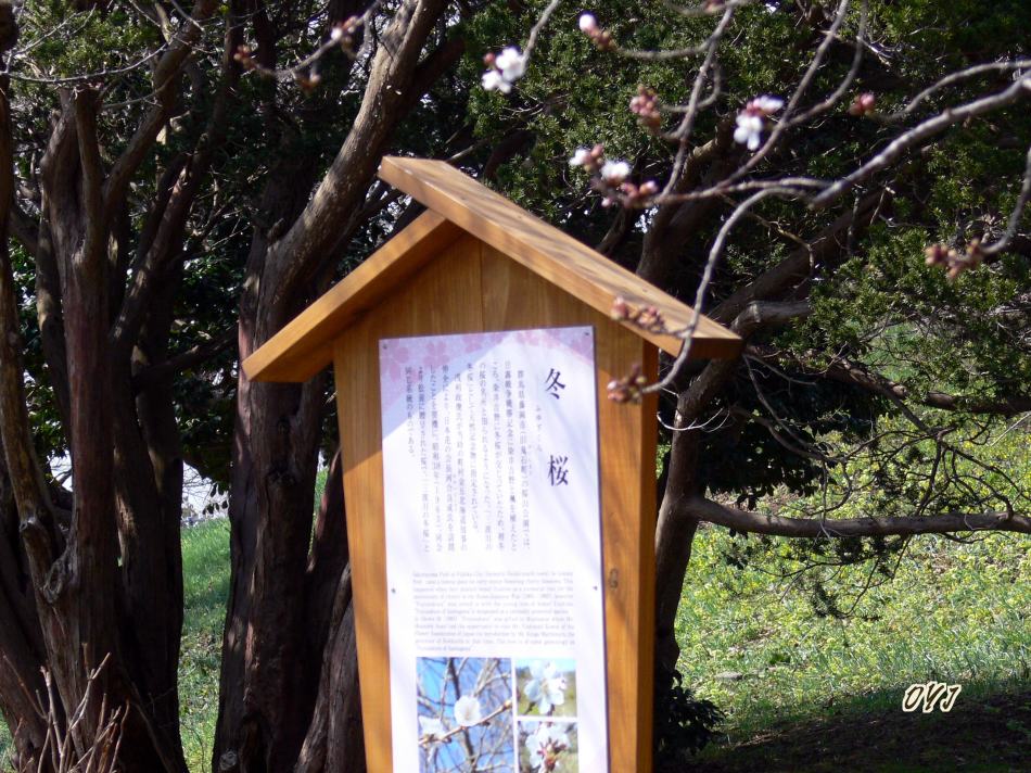 f0166871_8404172.jpg