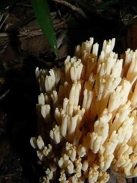 d0019074_13564248.jpg