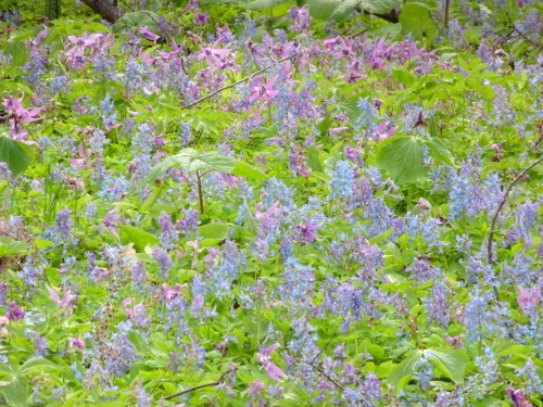 b0354279_14400538.jpg