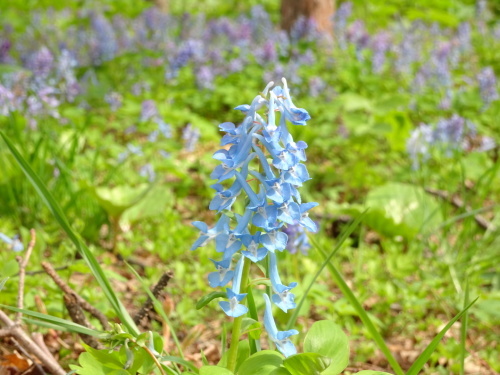b0354279_14424873.jpg