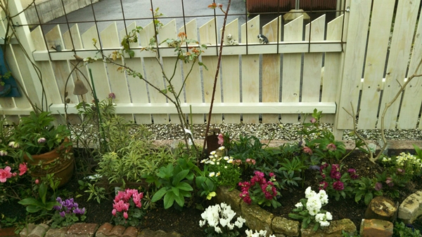 f0366679_2057582.jpg
