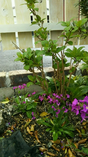 f0366679_22231752.jpg
