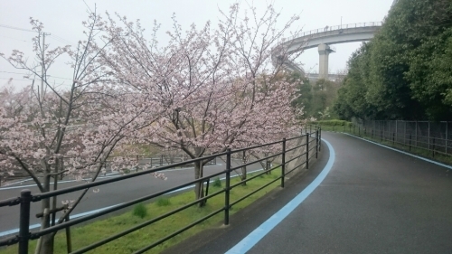 a0202382_17072286.jpg