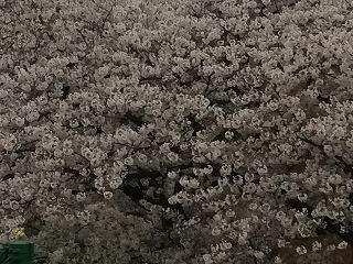 c0238586_23232969.jpg