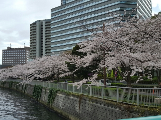 a0344593_08364427.jpg