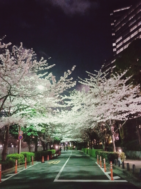 a0344593_08364790.jpg
