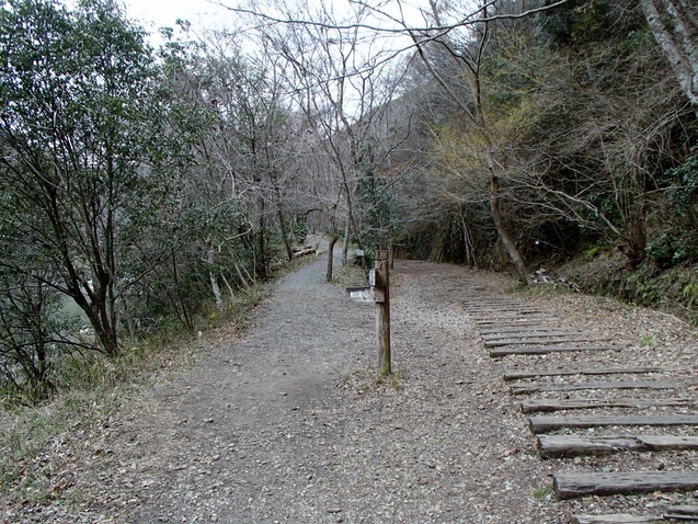 b0039898_19414982.jpg