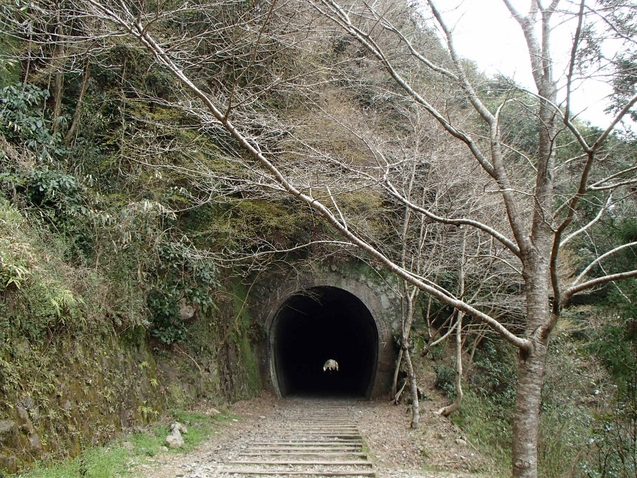 b0039898_19421730.jpg