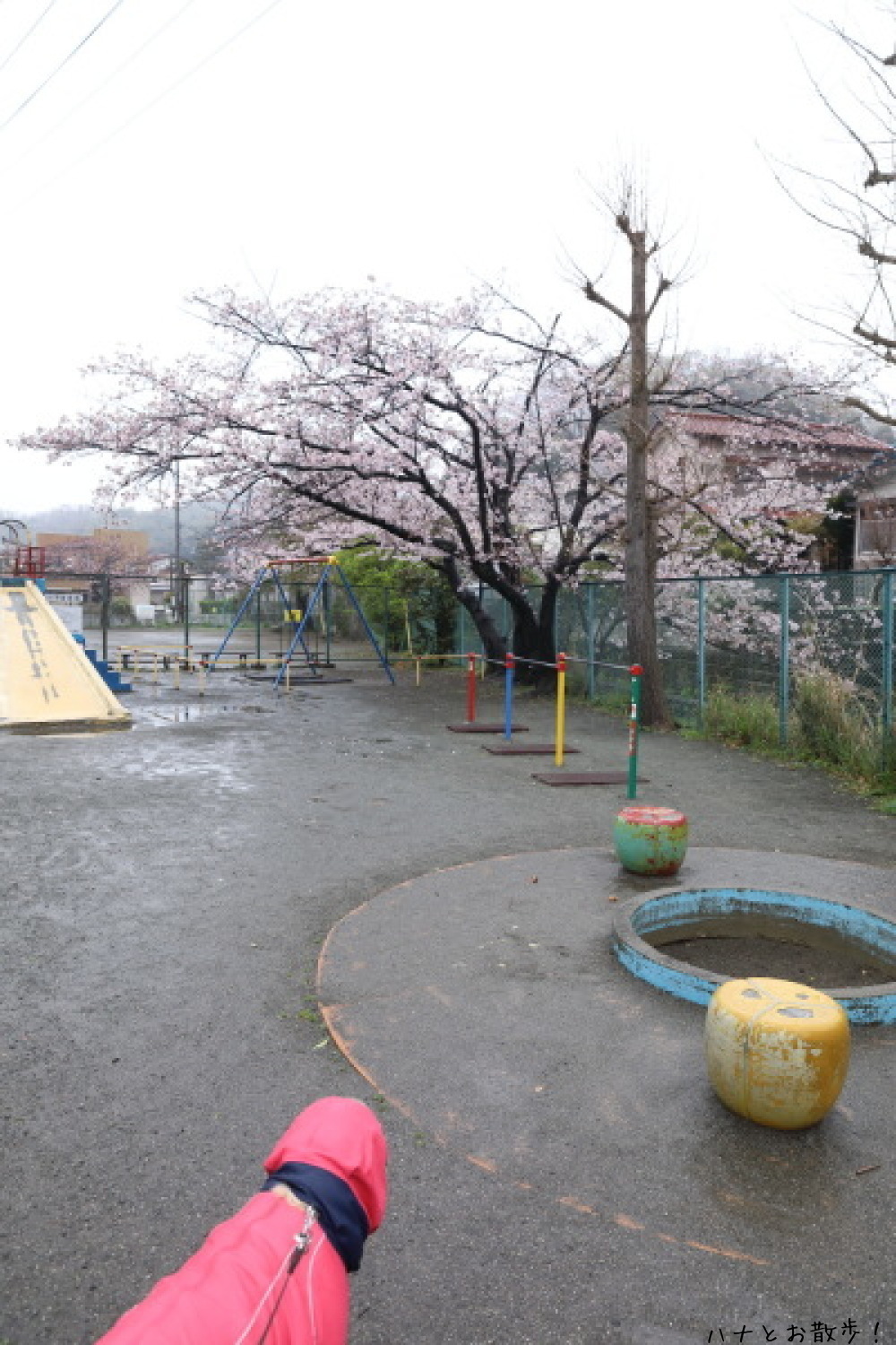 b0275998_14565886.jpg